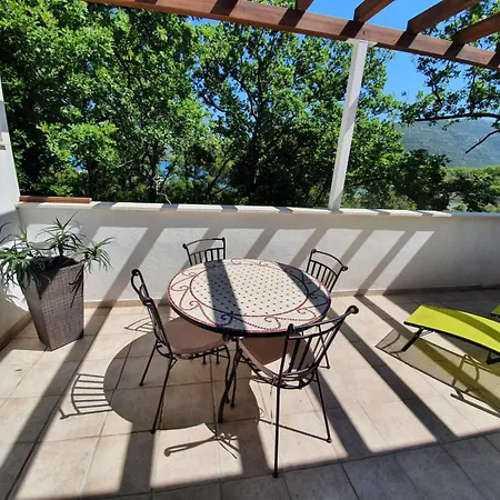 Lejlighed Green Apartment